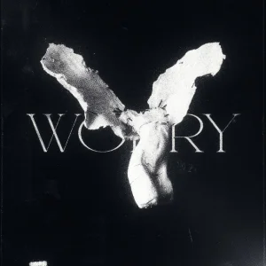 LONOWN & riserayss - worry (ultra slowed)